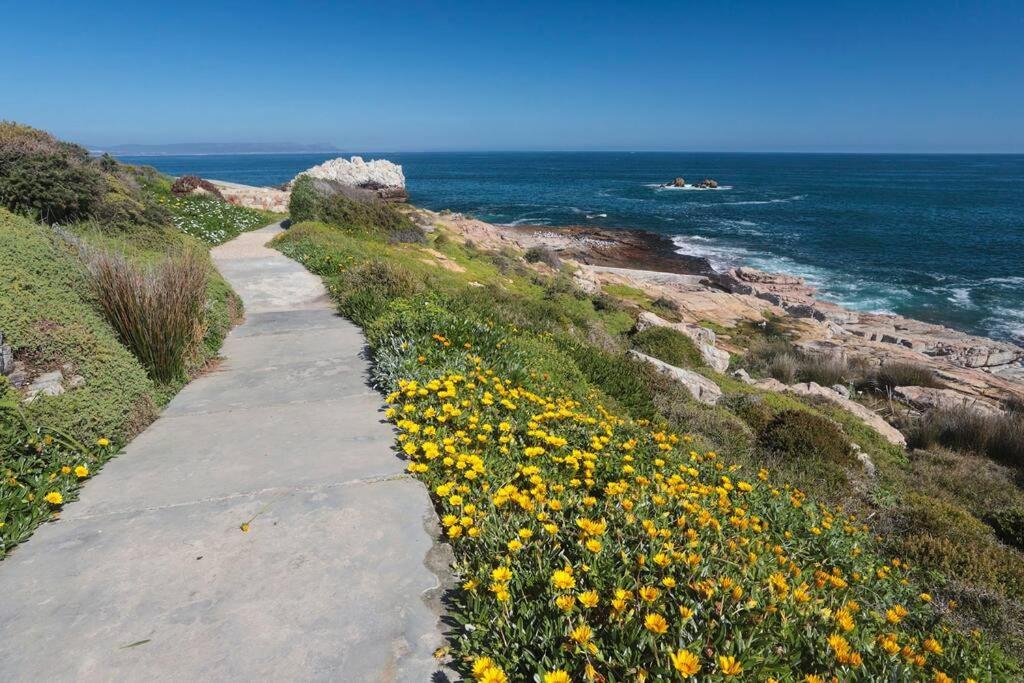 Mountain And Sea Cottage Hermanus Esterno foto