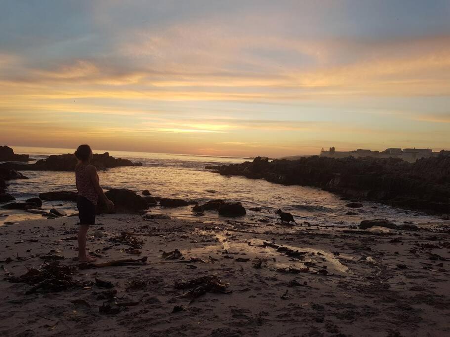 Mountain And Sea Cottage Hermanus Esterno foto